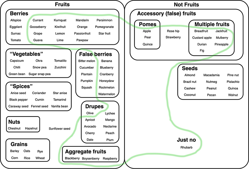 Diagram of fruits